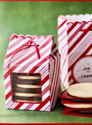 Kit com 6 Caixas de Natal  Candy Cane Martha Stewart Crafts