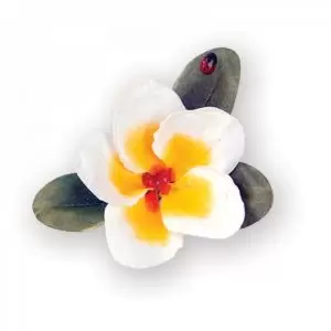 Faca Sizzix Thinlits Susan´s Tierney - Flower Plumeria