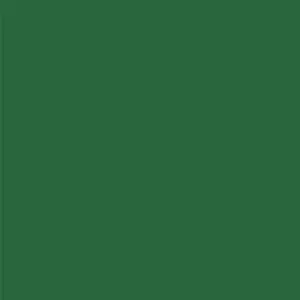 Papel Cardstock Liso American Crafts Smooth Pine